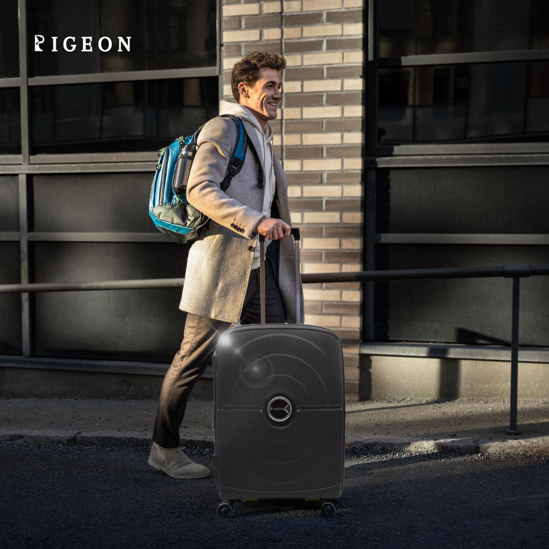 hardshell pigeon luggage set traveller